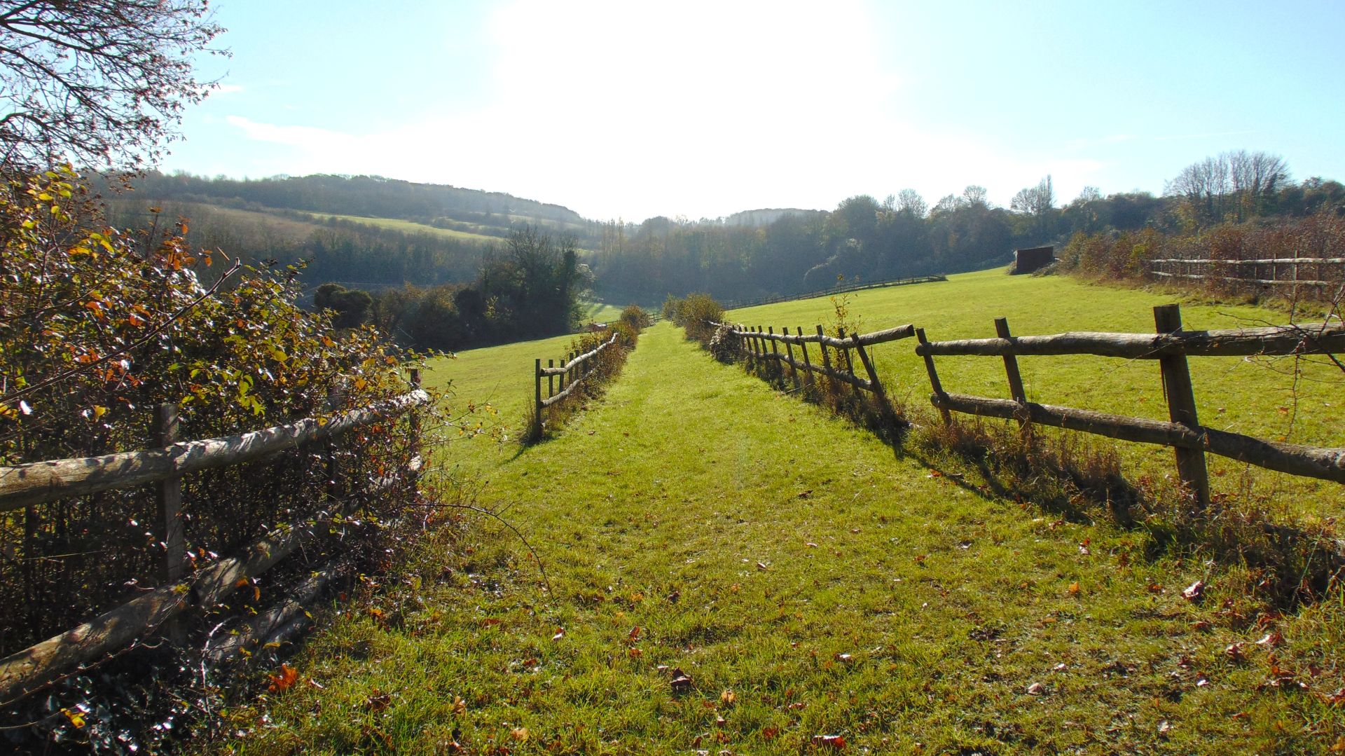 Capstone Country Park field